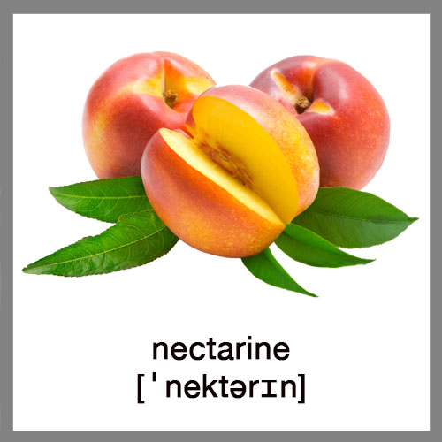 nectarine