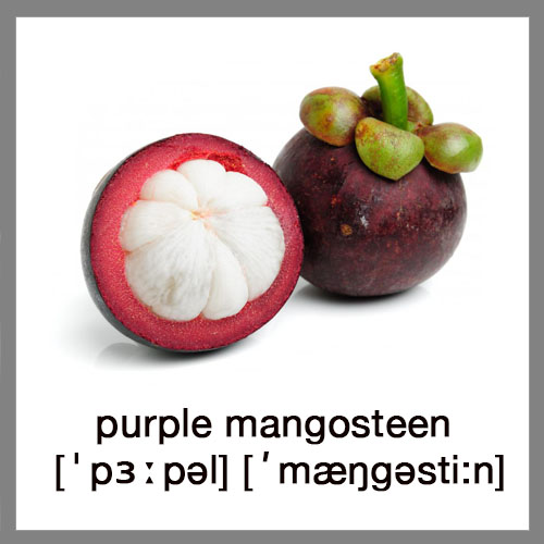 purple-mangosteen