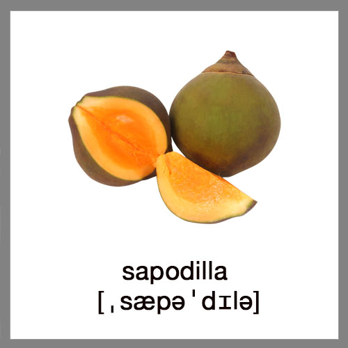 sapodilla