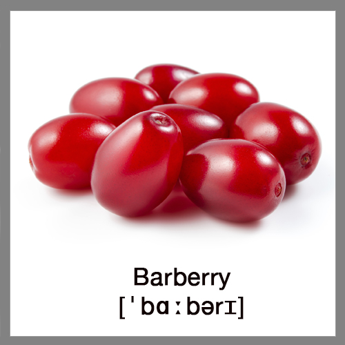barberry-