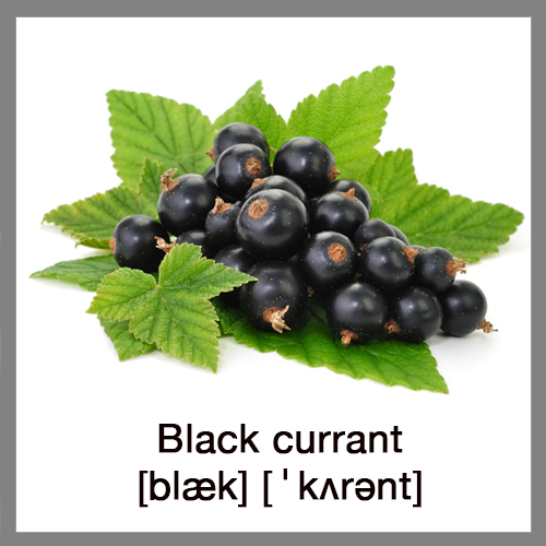 black-currant