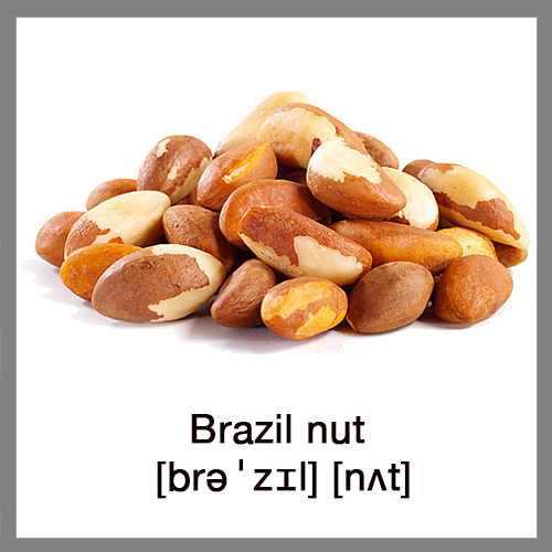 brazil-nut