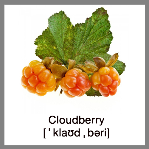 cloudberry-