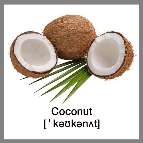 coconut-12