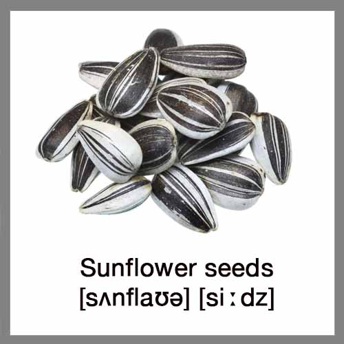 sunflower-seeds-2