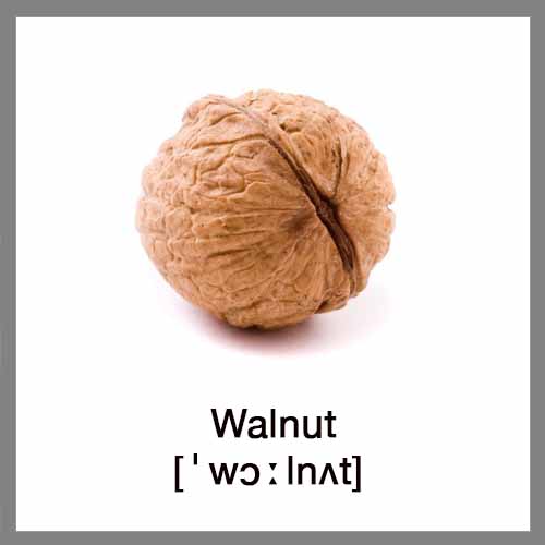 walnut1