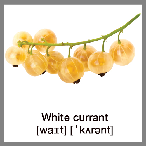 white-currant