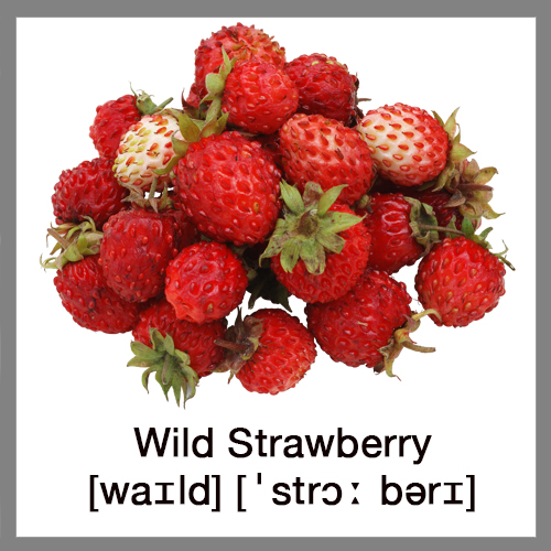 wild-strawberry-