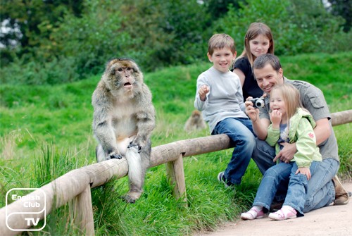 Trentham Monkey Forest