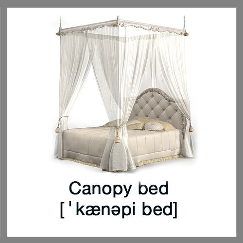 Canopy-bed