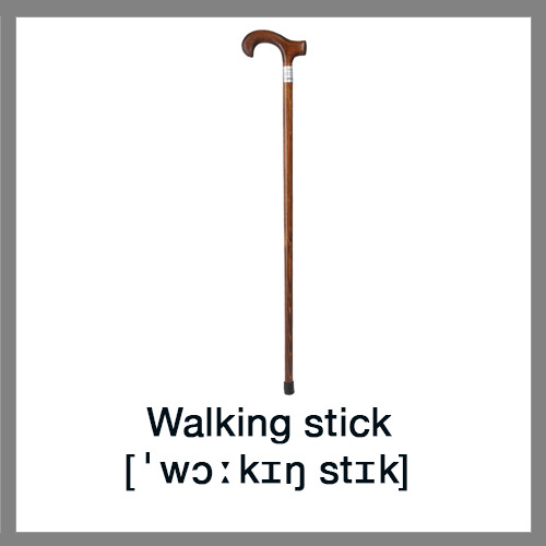 Walking-stick