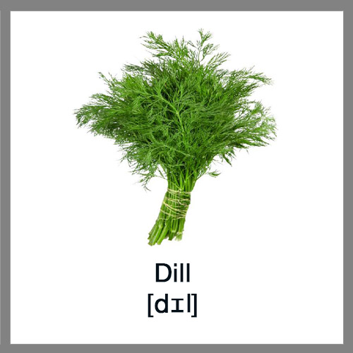Dill