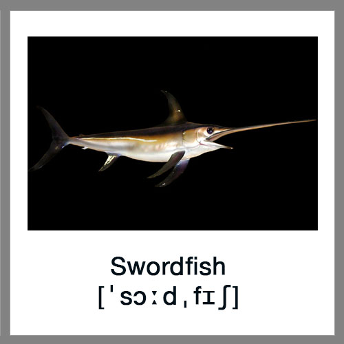 Swordfish-1
