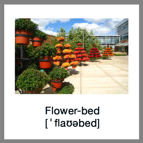 Flower-bed