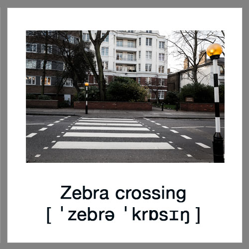 zebra-crossing