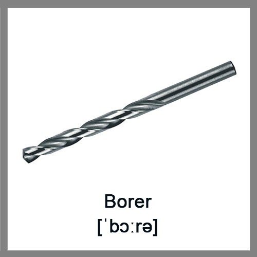 borer-500x500