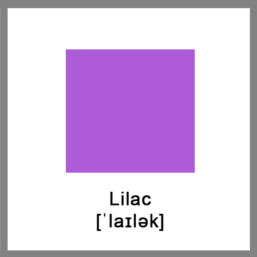 lilac