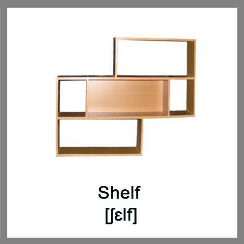 shelf1-500x500