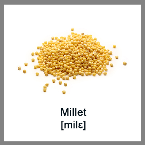 Millet1