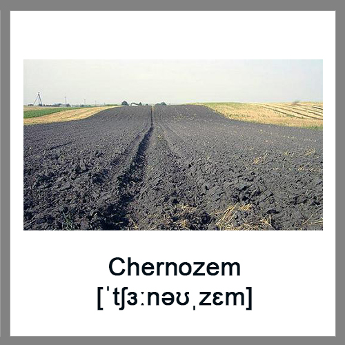 Chernozem
