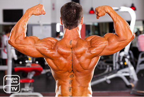 7 Facebook Pages To Follow About how do steroids affect the body