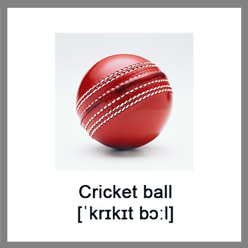 Cricket-ball