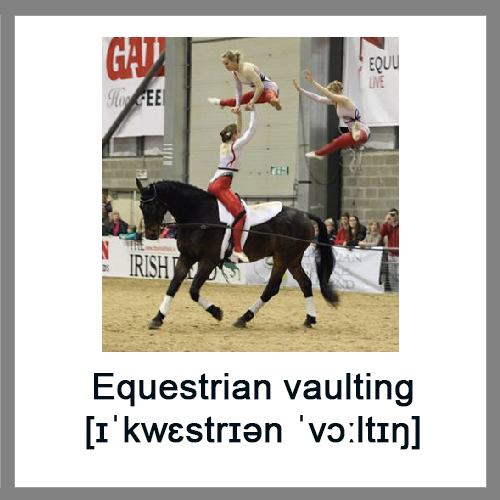 Equestrian-vaulting