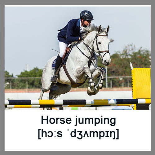 Horse-jumping