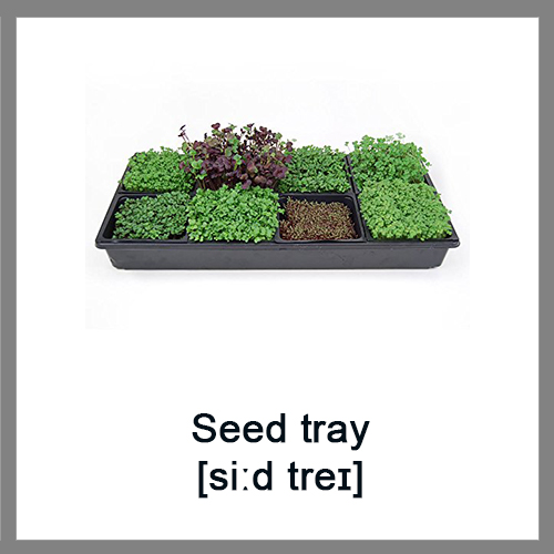 Seed-tray