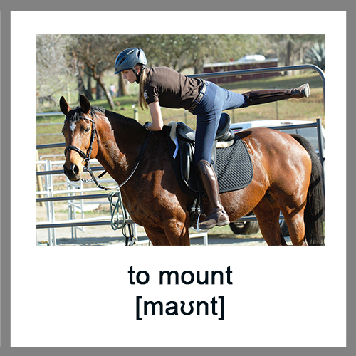 to-mount
